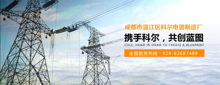 1756446071495934.png 成都市温江区科尔电器制造厂.png