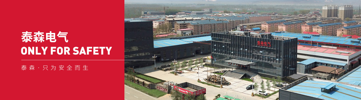 1762431412682848.jpg 泰森电气有限公司.jpg