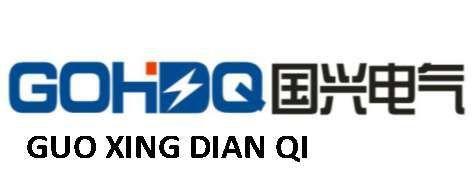 广东国兴电气有限公司logo.jpg